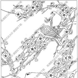 梅花線描畫(huà)底稿9高清大圖下載