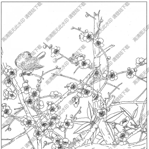 梅花線描畫(huà)底稿10高清大圖下載