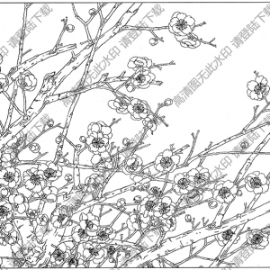 梅花線描畫(huà)底稿12高清大圖下載