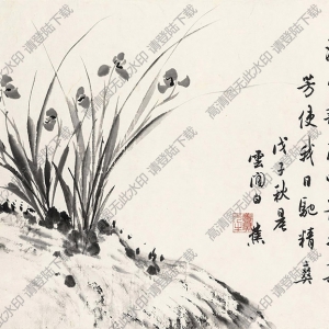 白蕉國(guó)畫(huà)作品 幽蘭圖2 高清下載